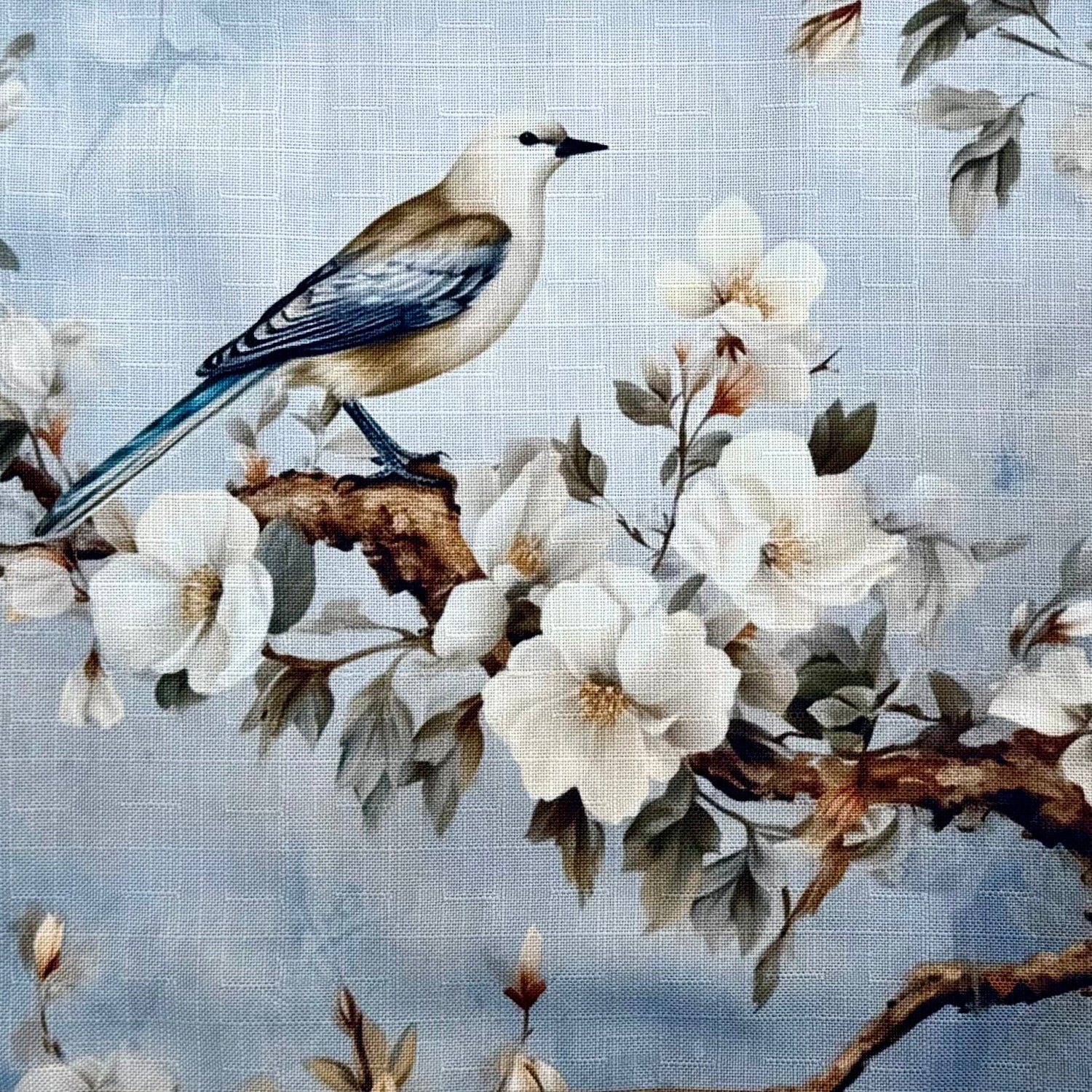 Spring