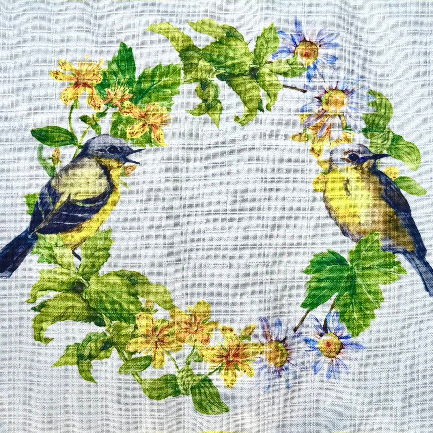 Birds